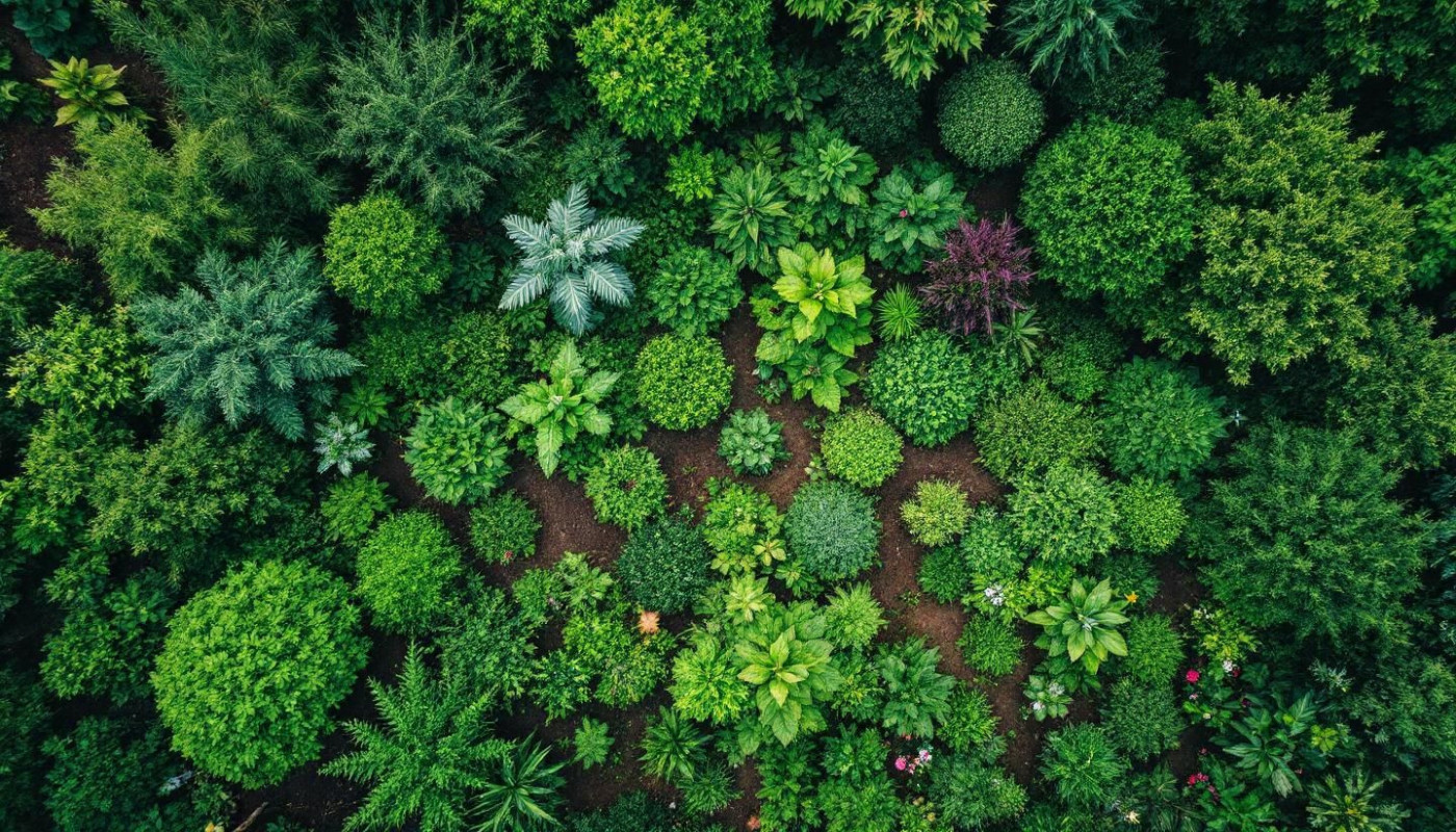 Techniques de permaculture pour un jardin durable et productif